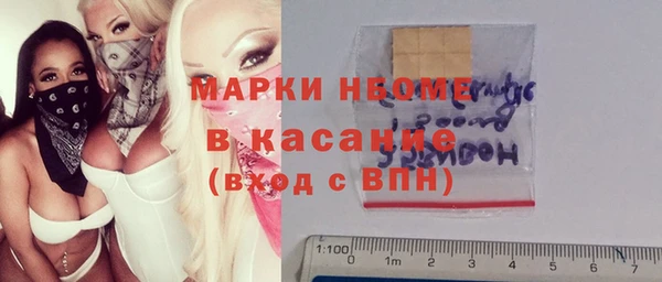 соль ск Каменка