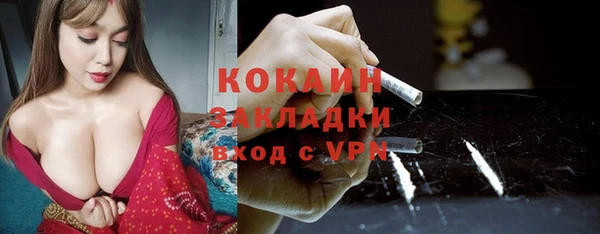 соль ск Каменка
