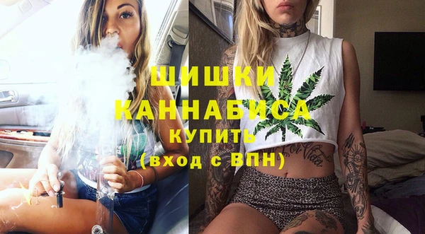 соль ск Каменка