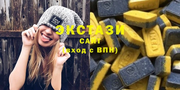 соль ск Каменка