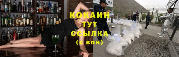 соль ск Каменка