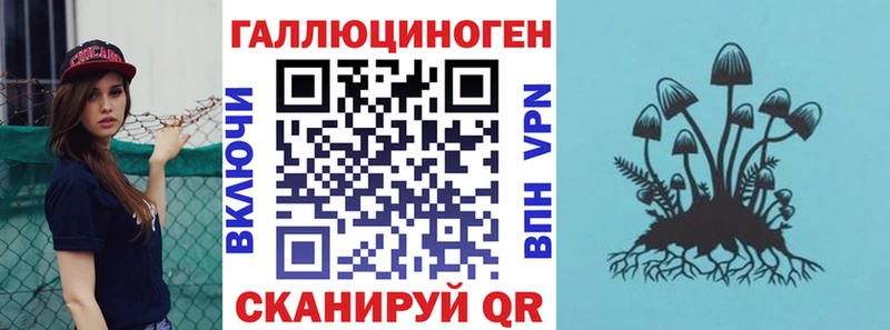 Купить где  Валдай  Галлюциногенные грибы Psilocybe 
